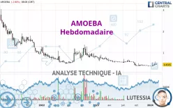 AMOEBA - Hebdomadaire