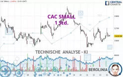 CAC SMALL - 1 Std.