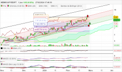 MEMSCAP REGPT - Daily