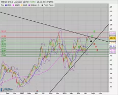 RWE AG INH O.N. - Daily