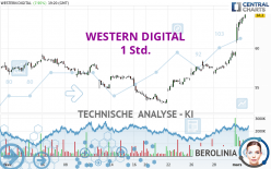 WESTERN DIGITAL - 1 Std.