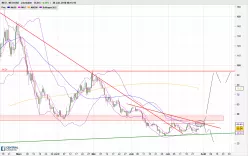 NEO - NEO/USD - Diario