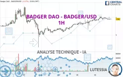 BADGER DAO - BADGER/USD - 1H