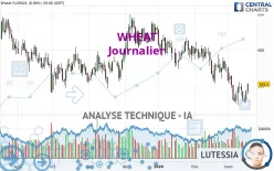 WHEAT - Journalier