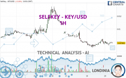 SELFKEY - KEY/USD - 1 Std.