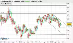CRCAM BRIE PIC2CCI - Giornaliero