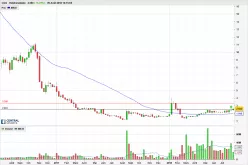 VIRIDIEN - Semanal