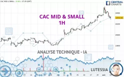 CAC MID &amp; SMALL - 1 Std.