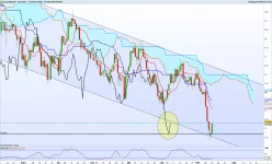 NZD/JPY - Daily