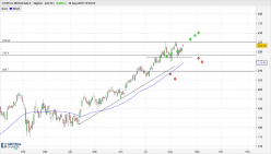 COSTCO WHOLESALE - Journalier