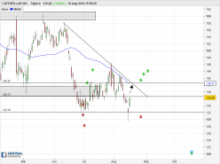 CATERPILLAR INC. - Diario