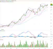 SILVER - USD - 1 Std.