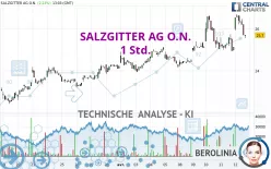 SALZGITTER AG O.N. - 1 Std.