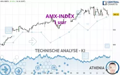 AMX-INDEX - 1 uur