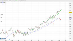 COSTCO WHOLESALE - Journalier