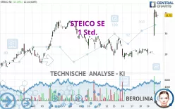 STEICO SE - 1 Std.