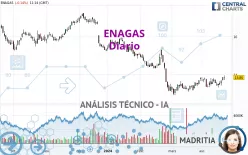 ENAGAS - Diario