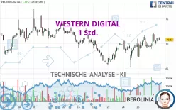 WESTERN DIGITAL - 1 Std.