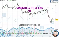 MAGNOLIA OIL &amp; GAS - 1H