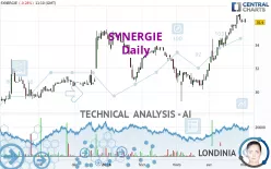 SYNERGIE - Daily