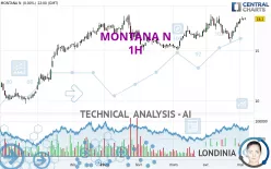 MONTANA N - 1H
