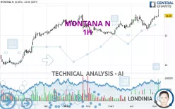 MONTANA N - 1H