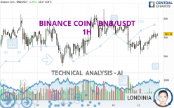 BINANCE COIN - BNB/USDT - 1 Std.