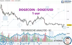 DOGECOIN - DOGE/USD - 1 uur