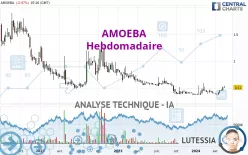 AMOEBA - Hebdomadaire