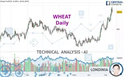 WHEAT - Daily