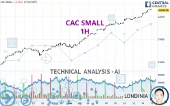 CAC SMALL - 1H