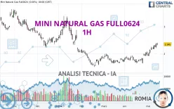 MINI NATURAL GAS FULL0125 - 1H