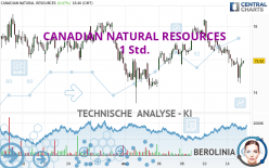 CANADIAN NATURAL RESOURCES - 1 Std.