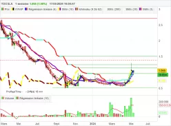 TOOSLA - Hebdomadaire