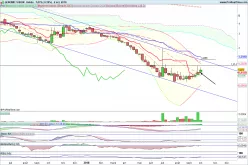 GENOMIC VISION - Semanal