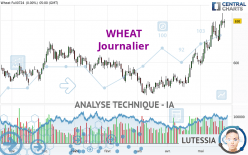 WHEAT - Journalier