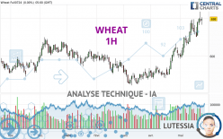 WHEAT - 1H