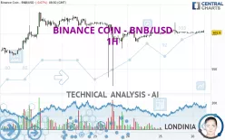 BINANCE COIN - BNB/USD - 1H