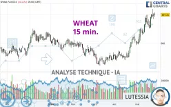 WHEAT - 15 min.