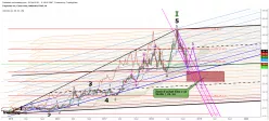 TRUPANION INC. - Semanal