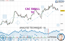 CAC SMALL - 1H