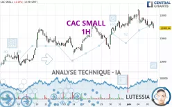 CAC SMALL - 1H