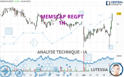 MEMSCAP REGPT - 1 uur