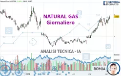 NATURAL GAS - Diario