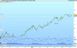 VANECK MORNINGSTAR DEVELOPED MARKETS D - Diario