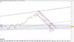 MICHELIN - Semanal