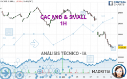 CAC MID & SMALL - 1H