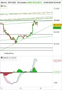 BITCOIN - BTC/USD - 30 min.