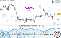 CAD/CNH - 1 Std.