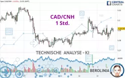 CAD/CNH - 1 Std.